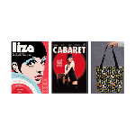 Liza: A Truly Terrific Absolutely True Story: 2DVDs + Broadway Tote
