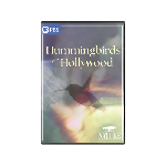 NATURE: Hummingbirds of Hollywood DVD