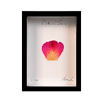 France Made With Love Framed Preserved Flower Petal