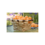 Daniel Lizarralde Woven Basket